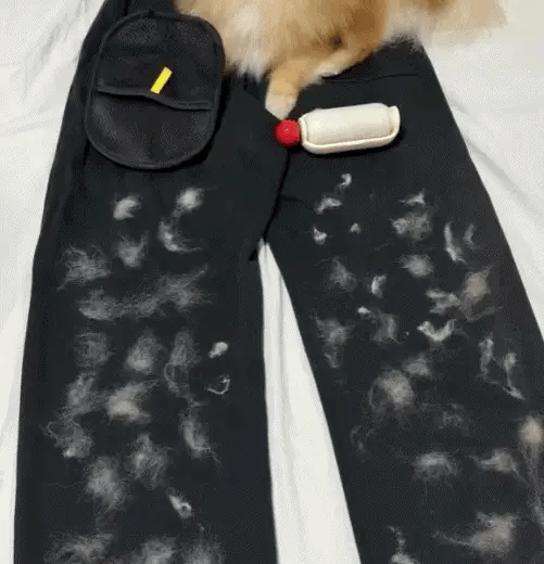 Pet Hair Remover Gloves - Glowse